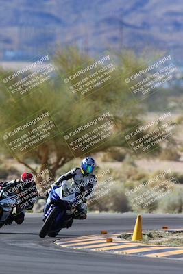 media/Apr-14-2024-SoCal Trackdays (Sun) [[70f97d3d4f]]/1-Turn 5 Tree of Life (920am)/